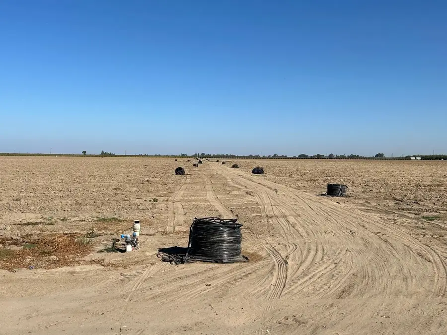 5394 Road 24 1/2, Madera, CA 93637 - Image #3