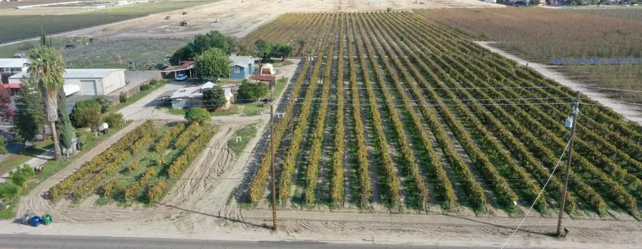 13608 S Academy, Kingsburg, CA 93631 - Image #2