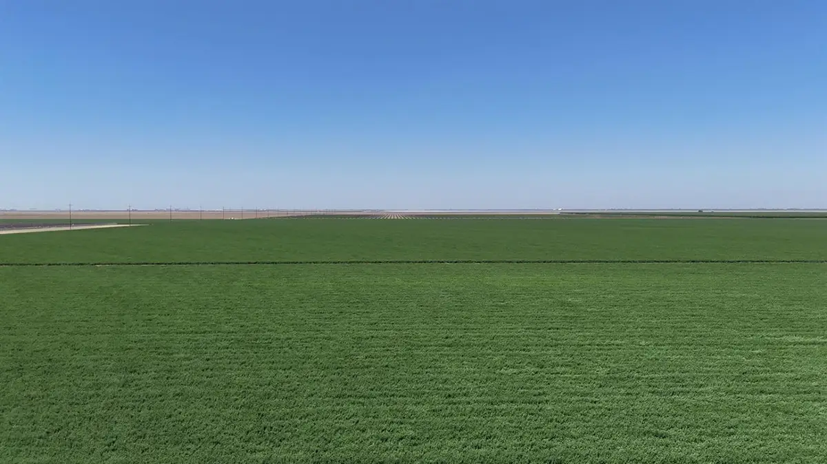 29922 Mountain View Ave, Cantua Creek, CA 93608 - Image #1