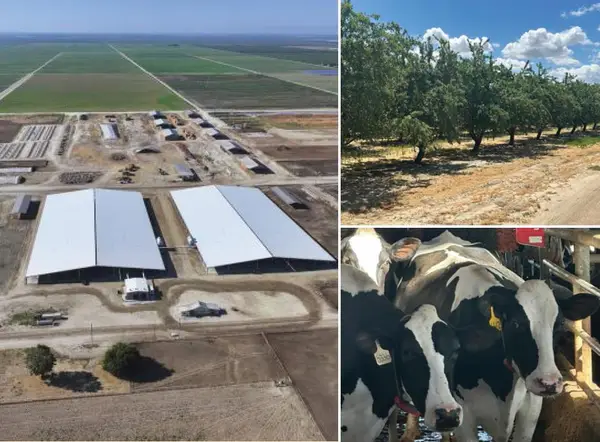 10255 W Manning Avenue, Fresno, CA 93706