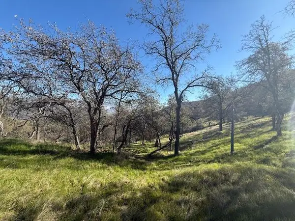 40 Big Springs Road, Tollhouse, CA 93667