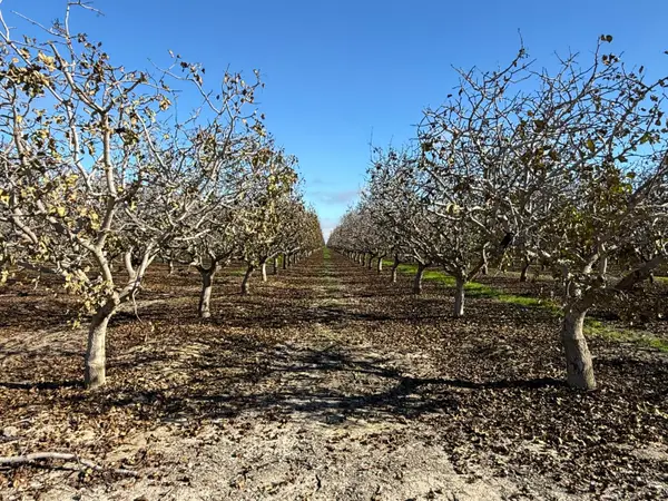 28000 W Jayne, Coalinga, CA 93210