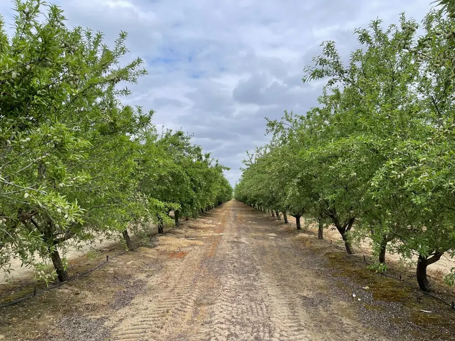 12251 E Jefferson, Del Rey, CA 93616 - Image #2