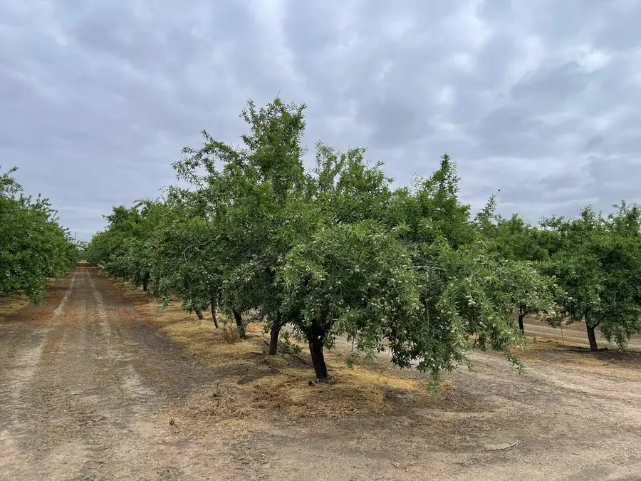 29630 Hwy 145, Madera, CA 93638 - Image #2