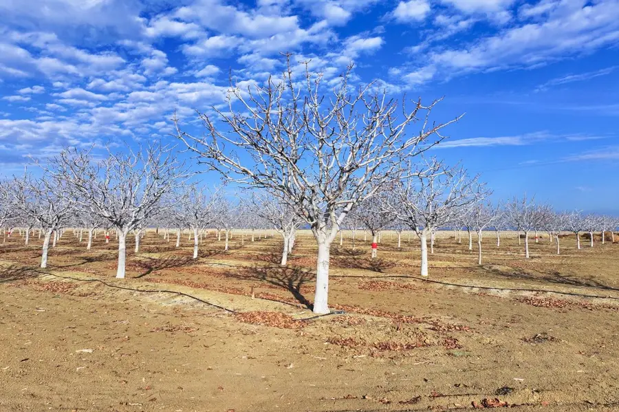 0 W Conejo Avenue, Cantua Creek, CA 93608 - Image #3