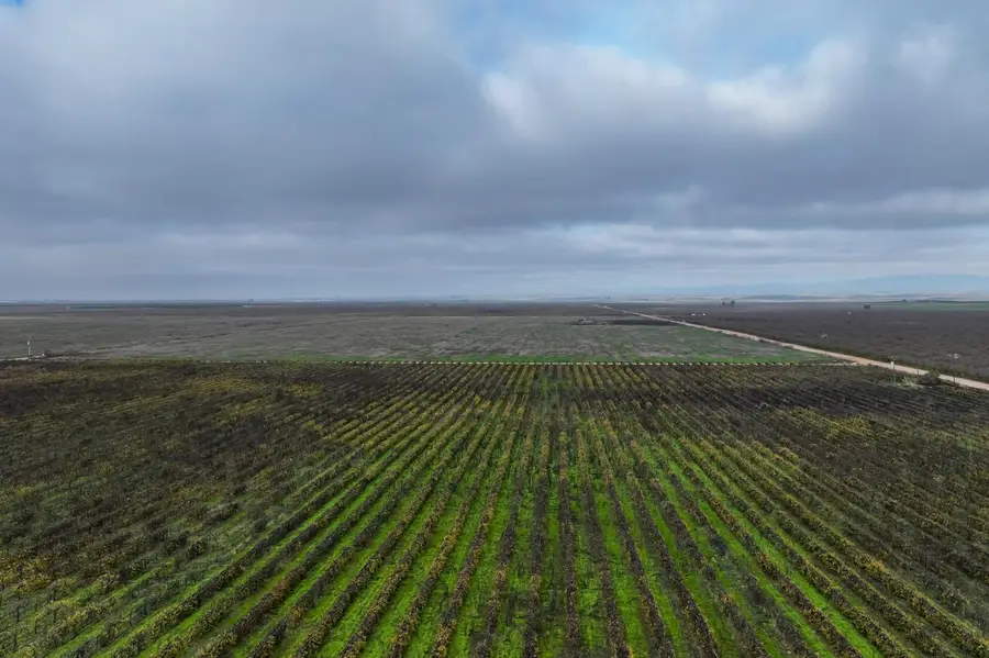 22322 Road 28 1 2, Madera, CA 93638 - Image #3