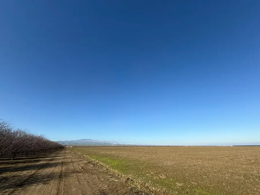 29890 El Dorado Ave, Five Points, CA 93210 - Image #3