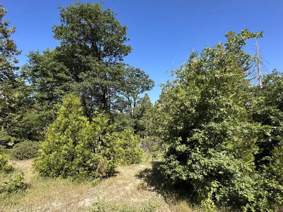 42346 Cook Cabin Lane, Shaver Lake, CA 93664 - Image #2