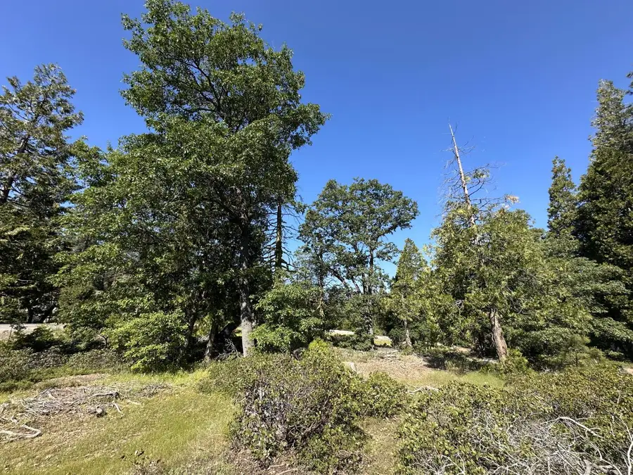 42346 Cook Cabin Lane, Shaver Lake, CA 93664 - Image #3