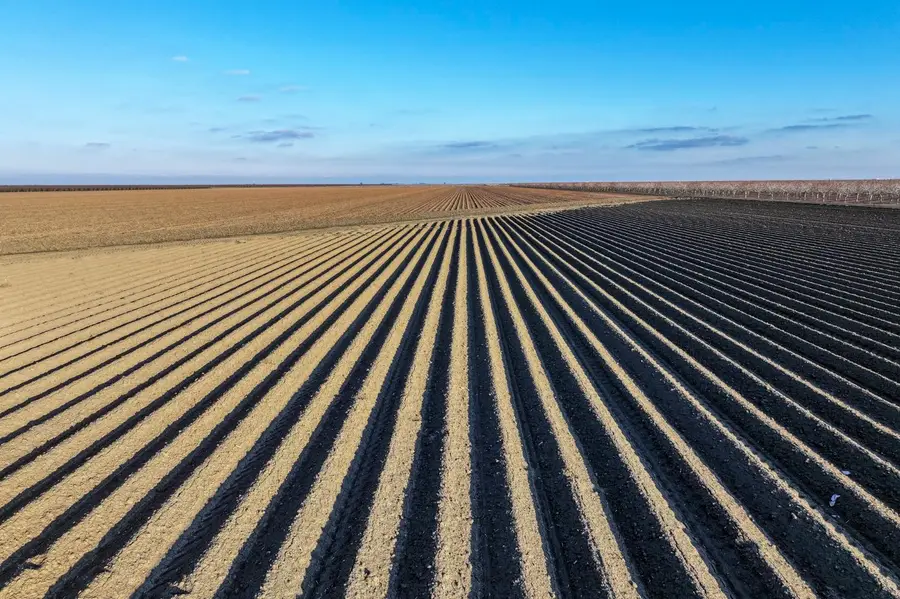 0 Napa Avenue, Helm, CA 93627 - Image #2