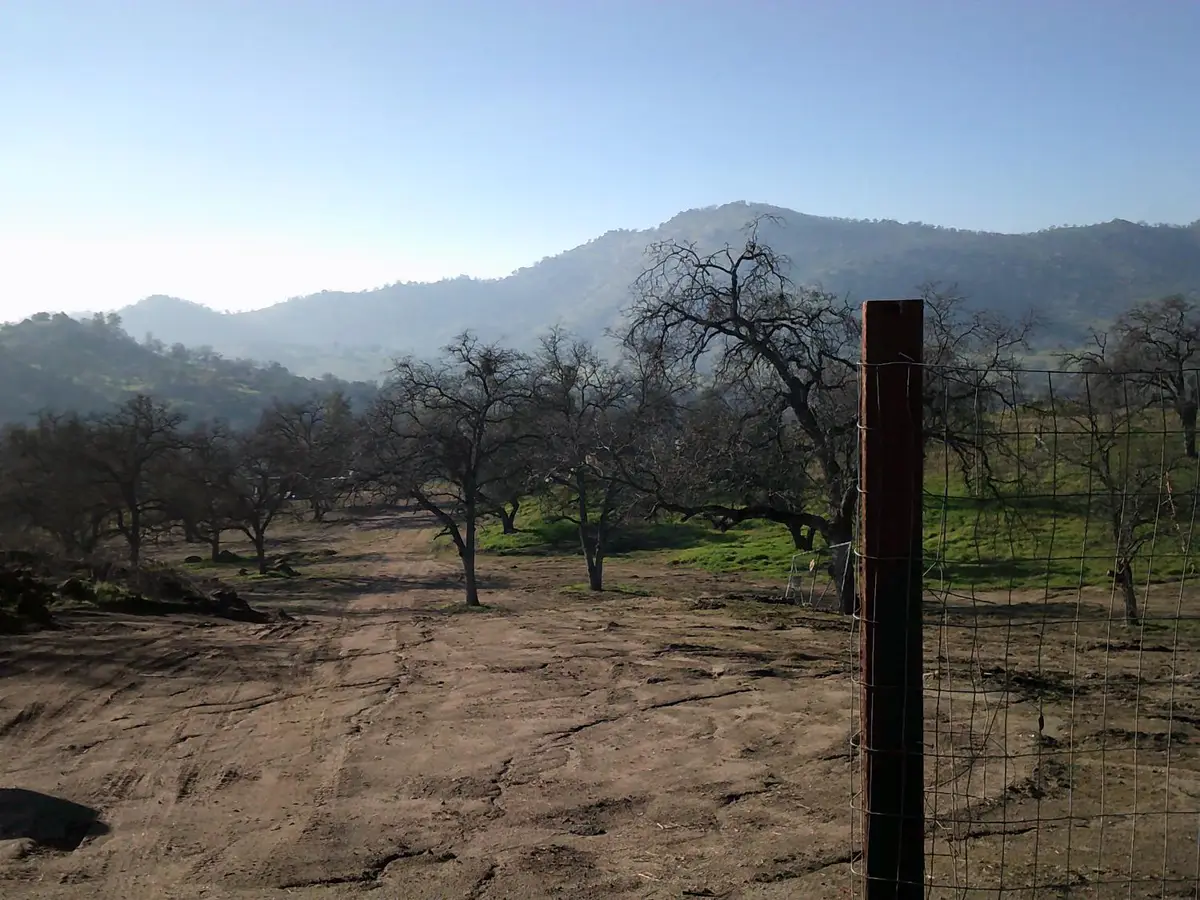 38949 Roundtree Lane, Yokuts Valley, CA 93675 - Image #1