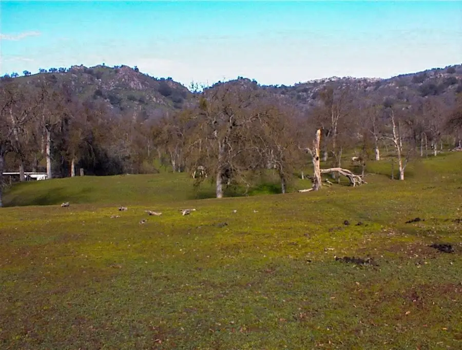 207 Mistletoe Road, Yokuts Valley, CA 93675 - Image #2