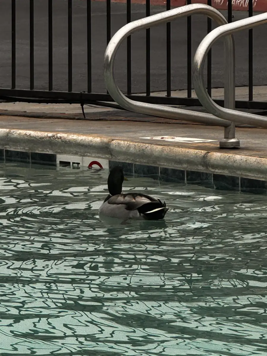 381 E Nees #122, Fresno, CA 93720 - Image #2