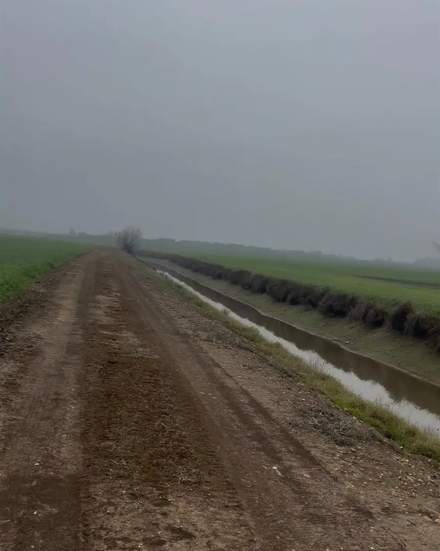 12010 E Childs Avenue, Le Grand, CA 95333 - Image #2