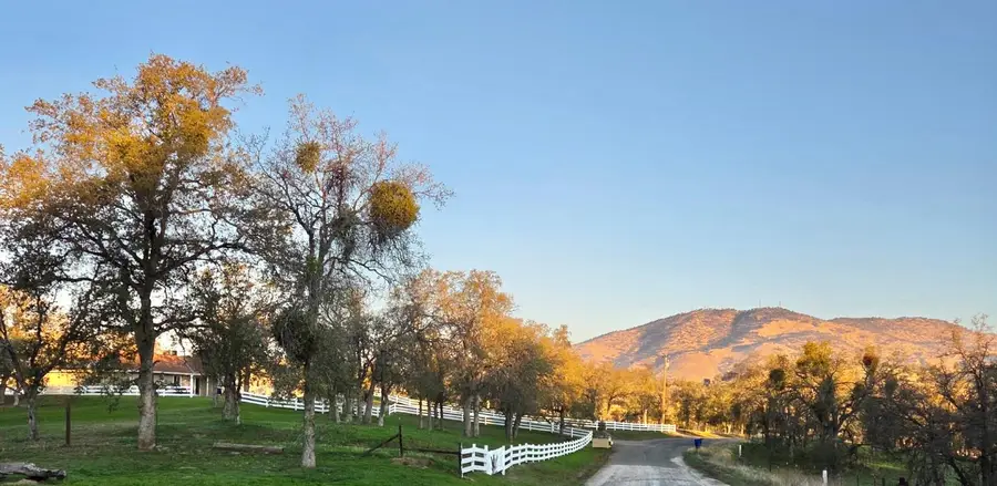 31602 Tumbleweed Lane, Yokuts Valley, CA 93675 - Image #3