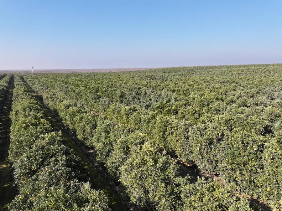 0 Quinn Road, Delano, CA 93215 - Image #3