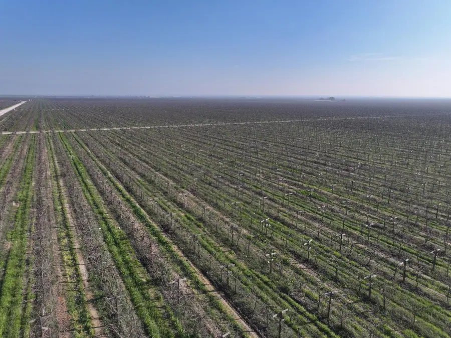 0 Wallace Rd., Delano, CA 93215 - Image #2