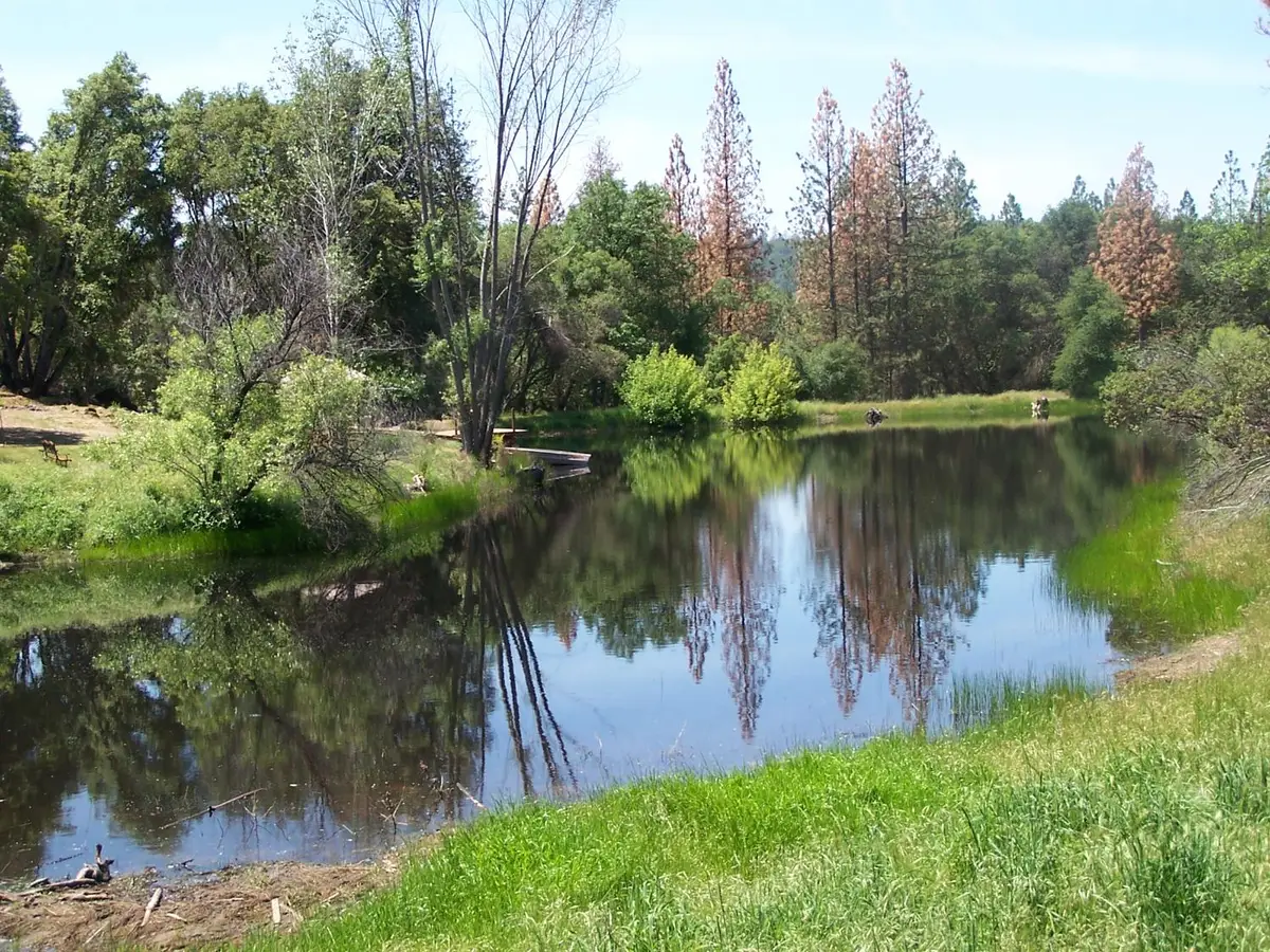 10 Rusty Ln, Oakhurst, CA 93644 - Image #1