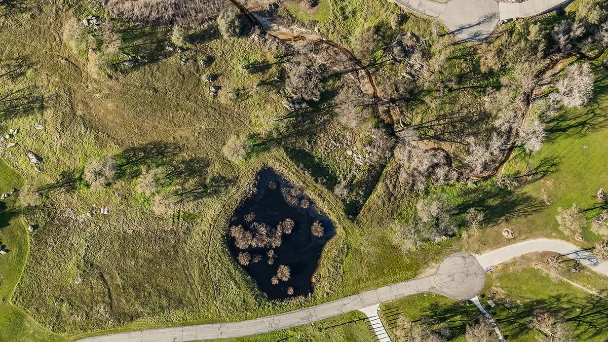 14798 Feather Woods Lane, Prather, CA 93651 - #1