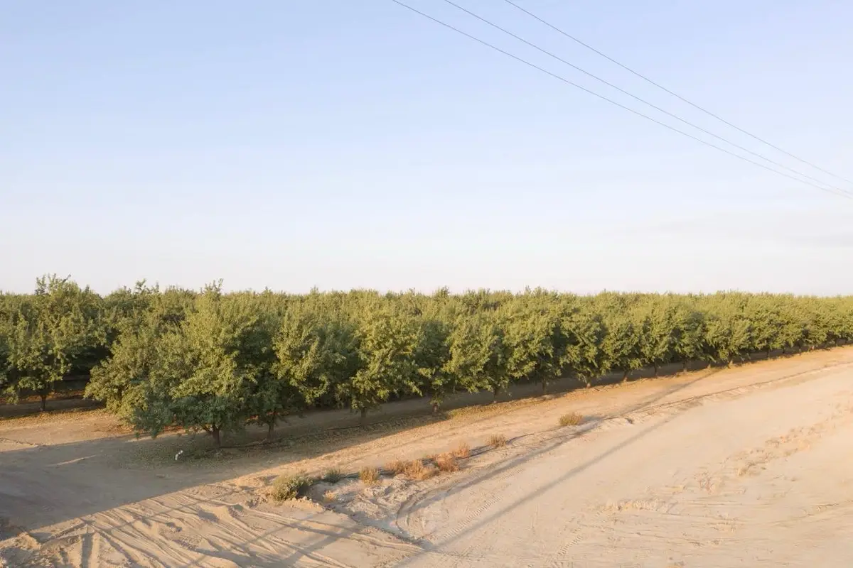 0 N Palm, Wasco, CA 93280 - Image #1