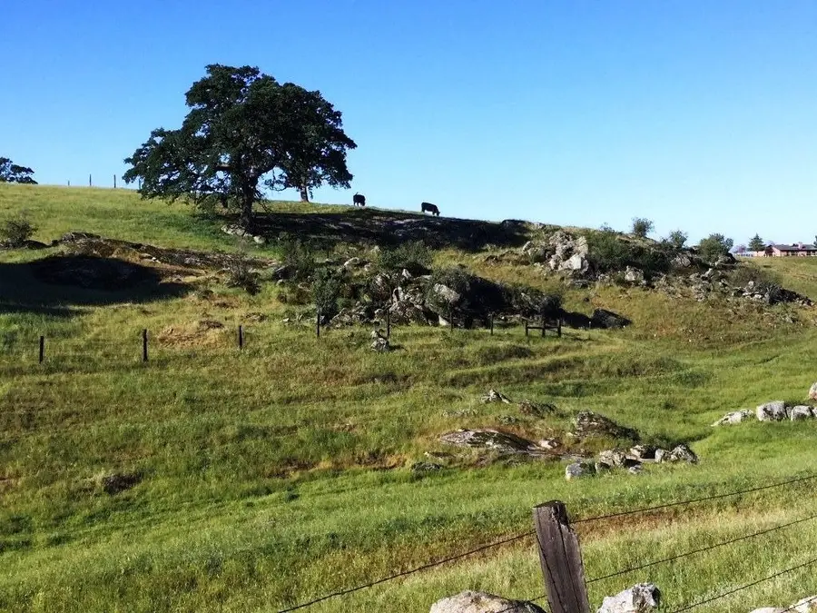 0 Highway 41, Madera, CA 93636 - Image #3