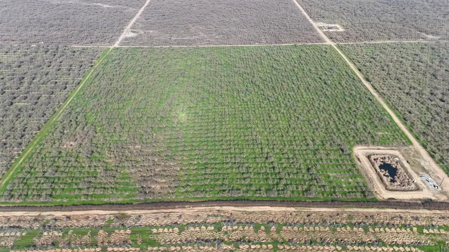 1 Rd 28 1/2, Madera, CA 93638 - #2