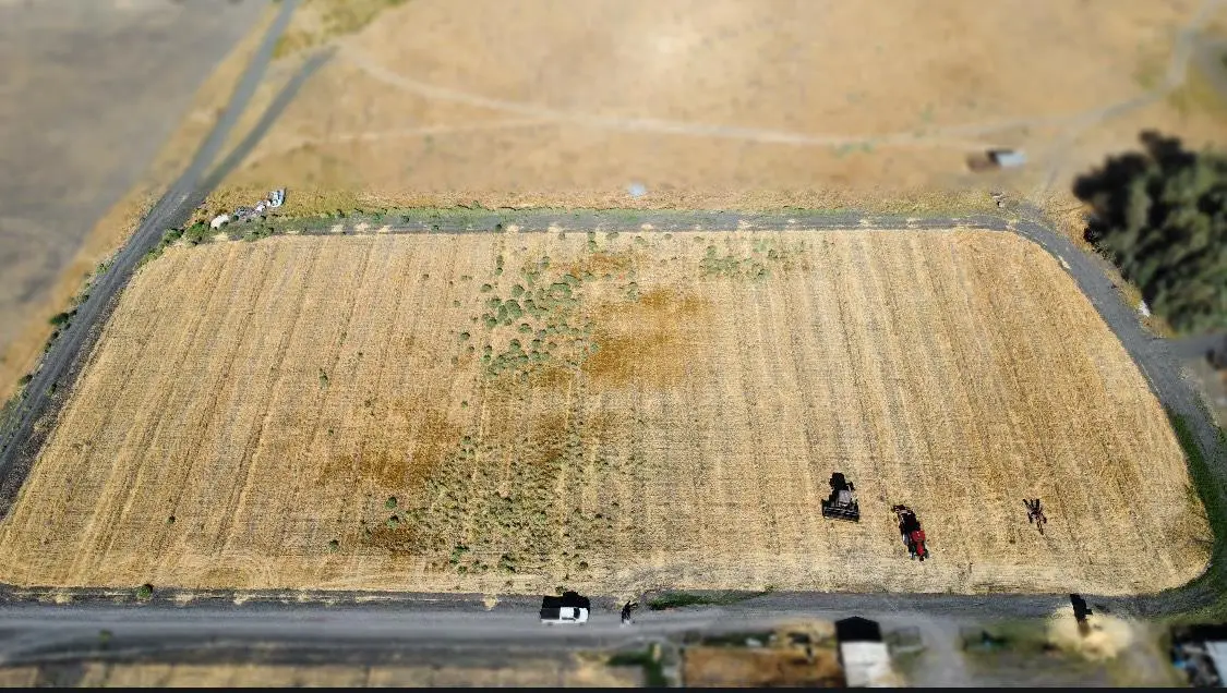 0 Reynolds Ave, Dos Palos, CA 93620 - Image #1