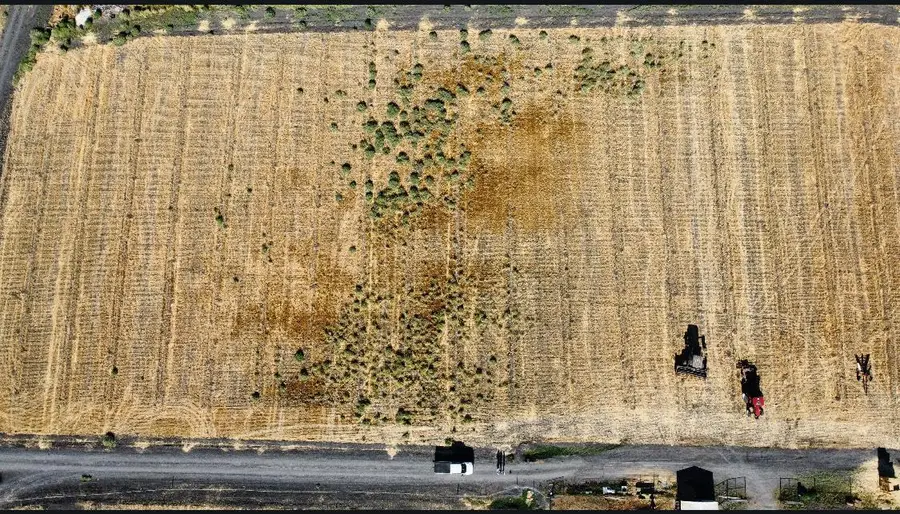 0 Reynolds Ave, Dos Palos, CA 93620 - Image #2