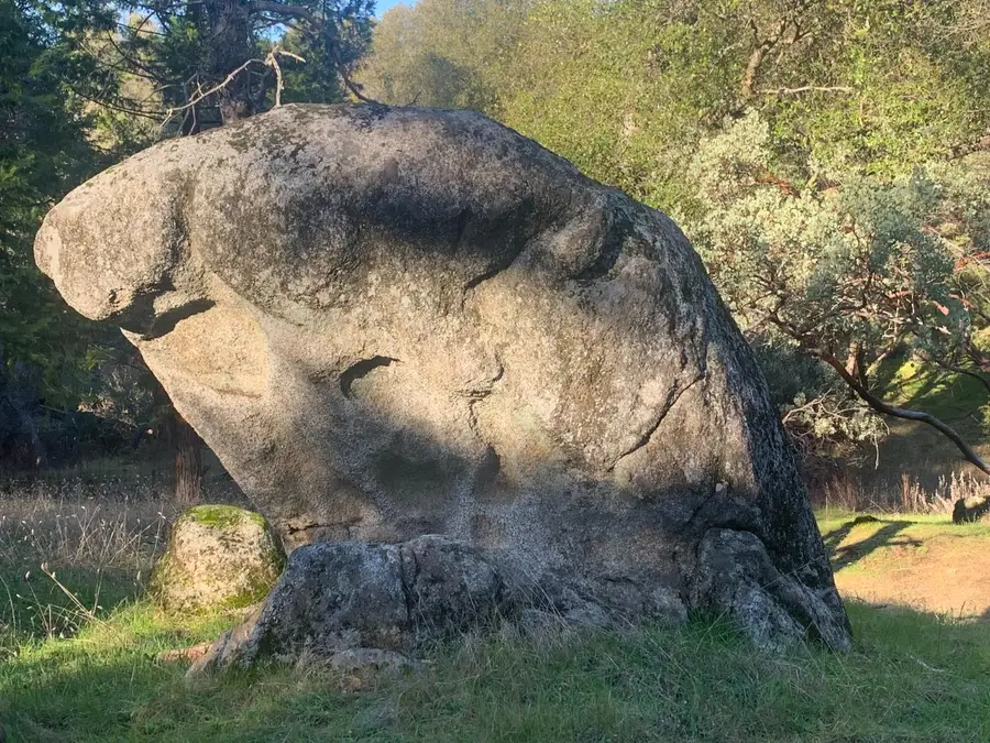 39516 John West Road, Oakhurst, CA 93644 - Image #3