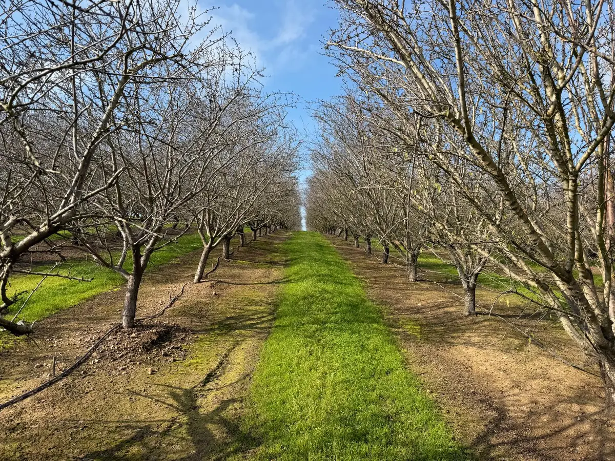 16501 28 Mile, Oakdale, CA 95361 - Image #1