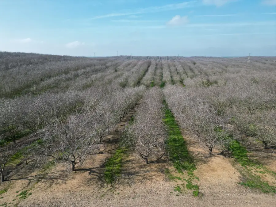 16501 28 Mile, Oakdale, CA 95361 - Image #3