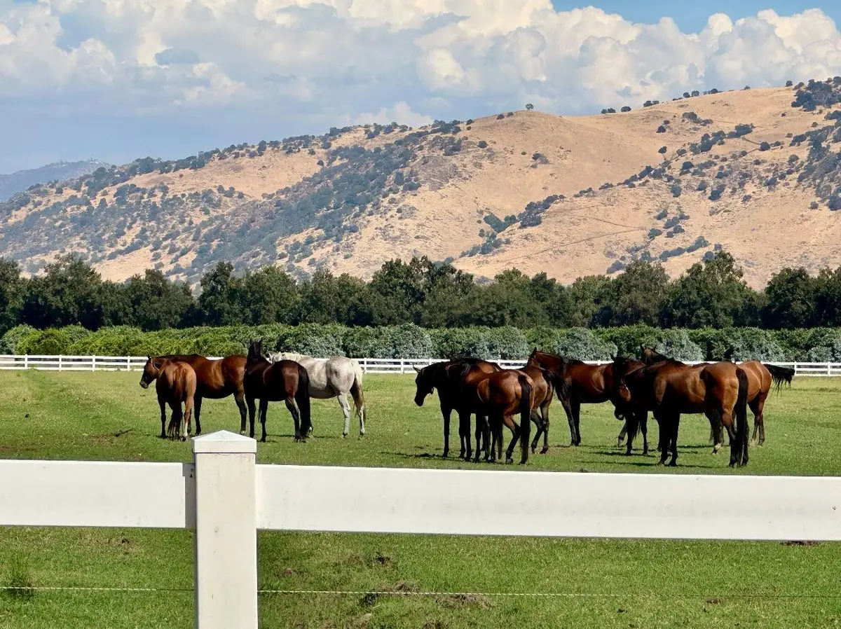 17281 E Belmont Avenue, Sanger, CA 93657 - Image #1