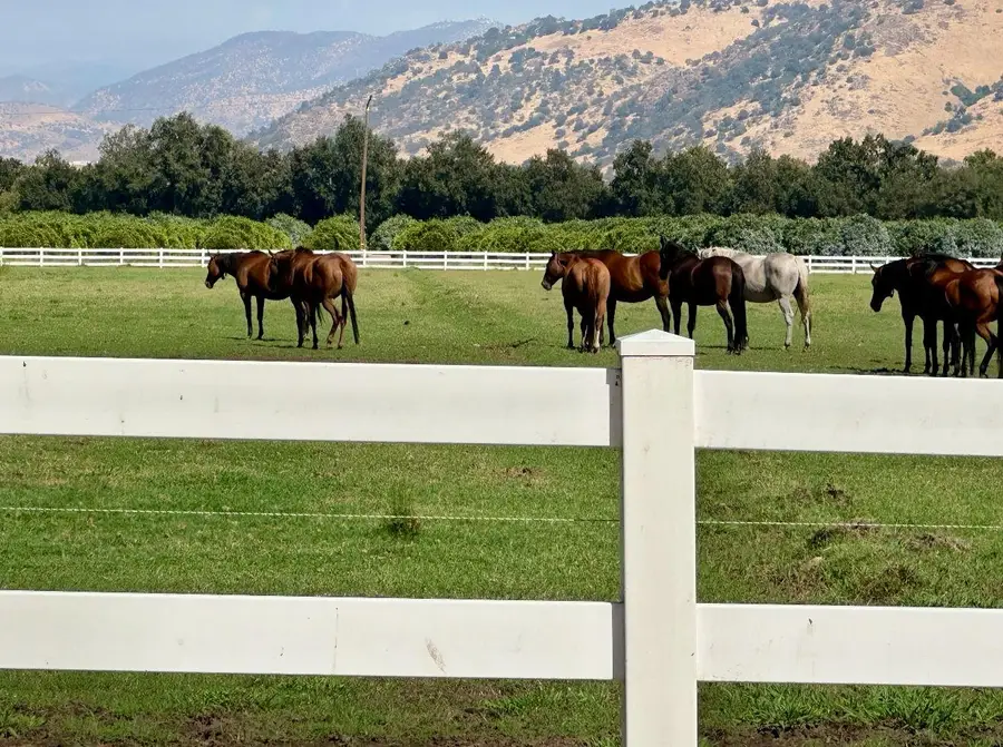 17281 E Belmont Avenue, Sanger, CA 93657 - Image #2