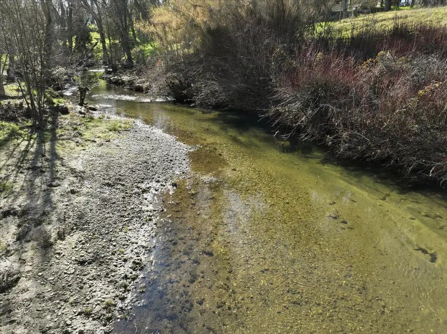 40833 Winding Way, Oakhurst, CA 93644 - Image #3