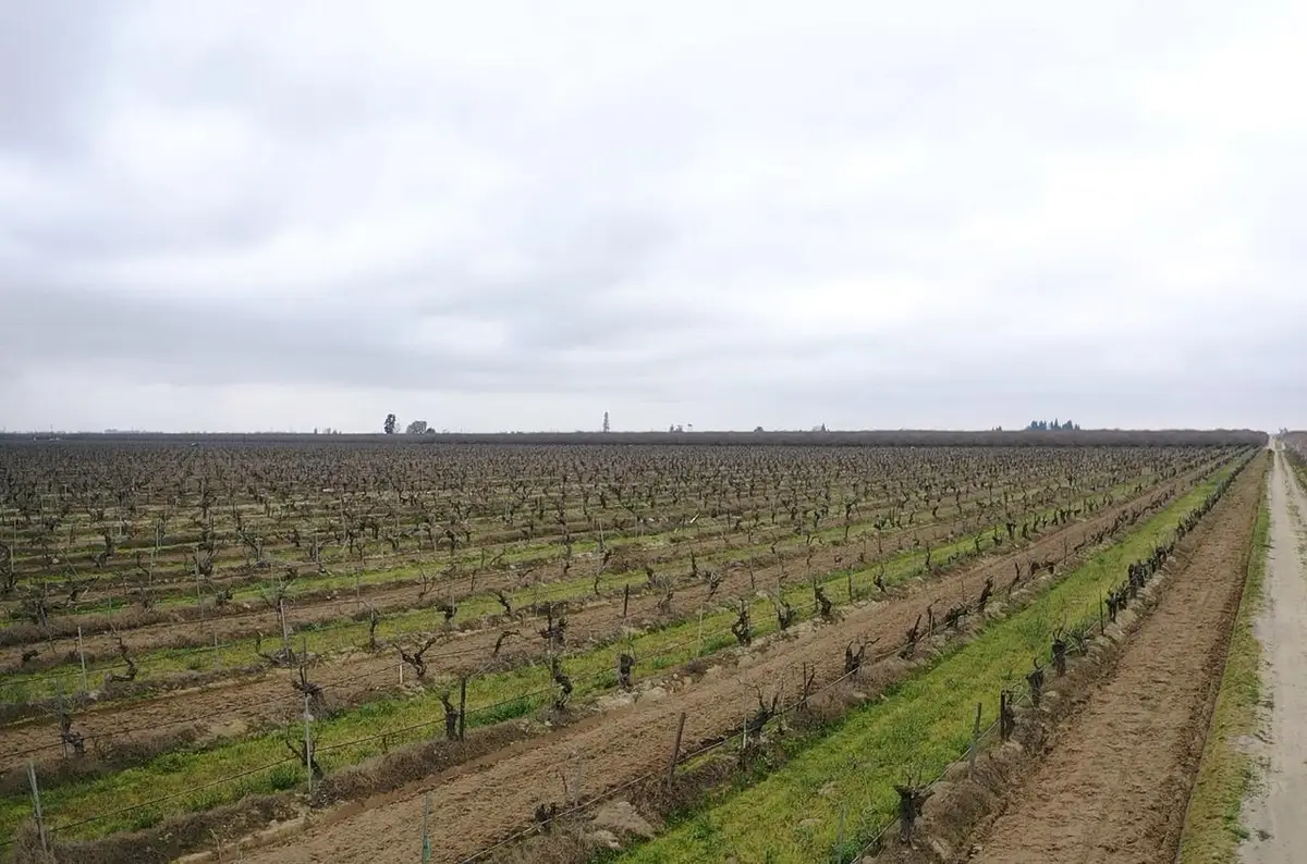 6837 S Granada, Madera, CA 93637 - Image #1