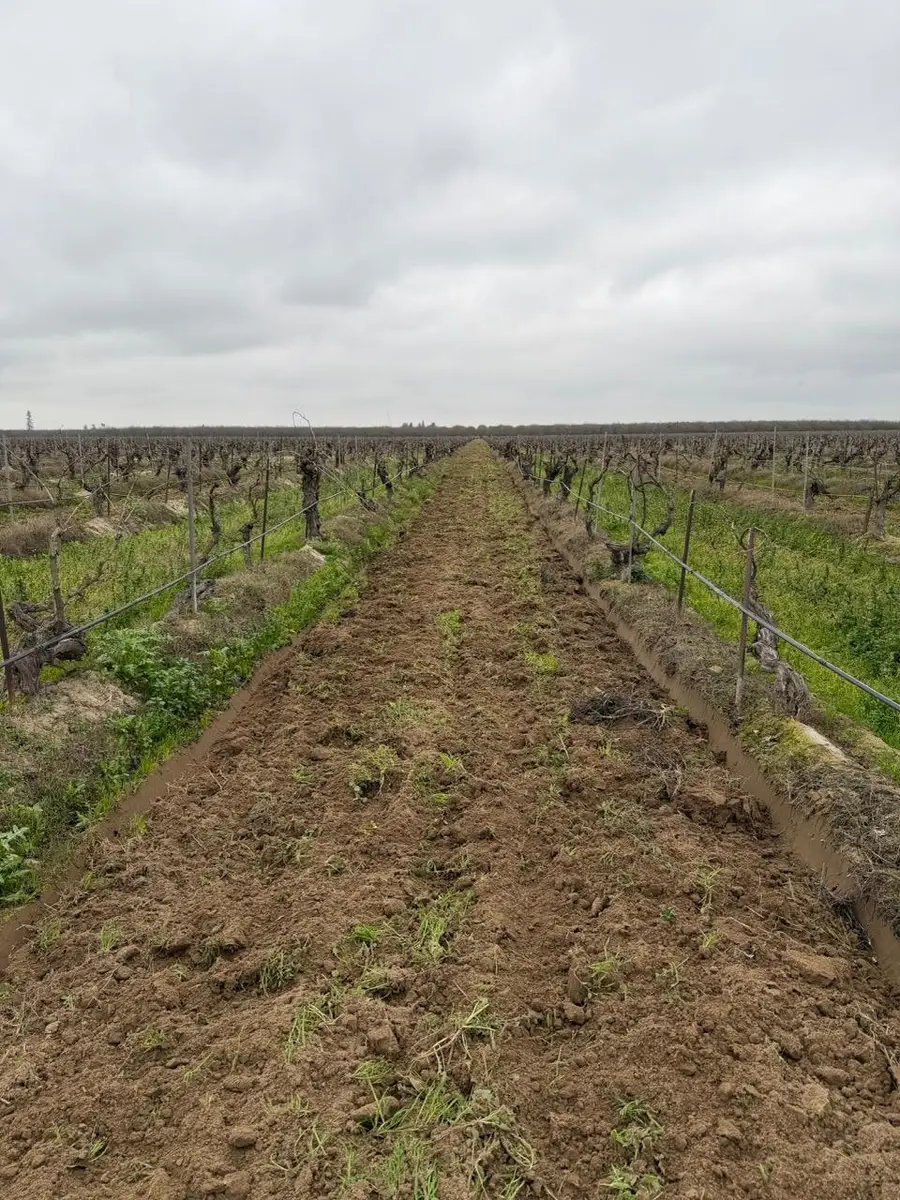 6837 S Granada, Madera, CA 93637 - Image #3