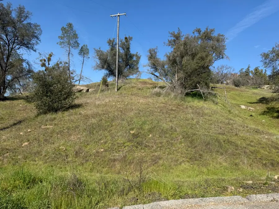 0 Long Hollow Drive, Coarsegold, CA 93614 - #3