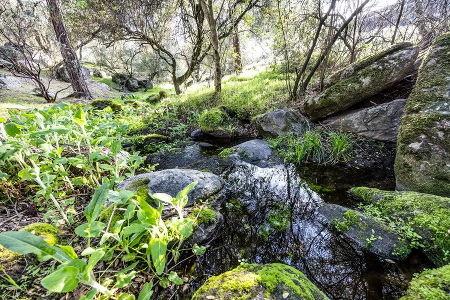 44410 Quail Court, Coarsegold, CA 93614 - #3