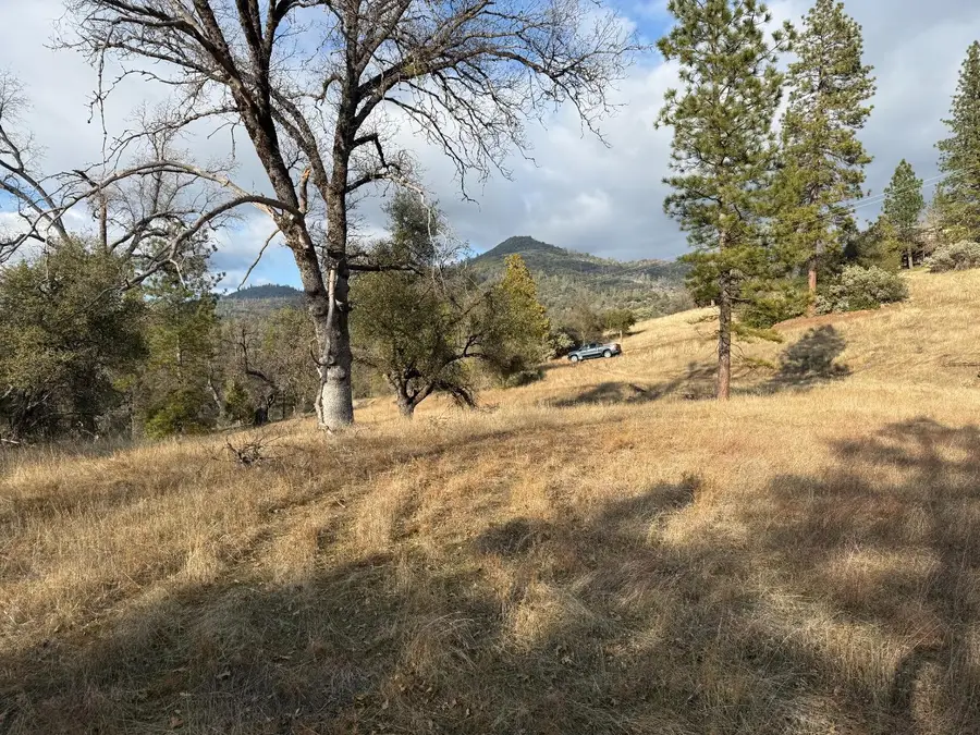 65 Mcdaniel Dr, North Fork, CA 93643 - #2