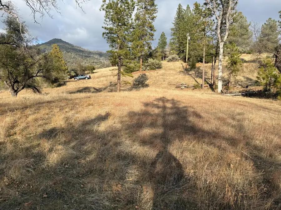 65 Mcdaniel Dr, North Fork, CA 93643 - #3