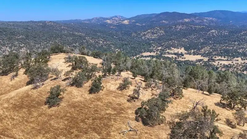 241 Mountain View Peak Road, O Neals, CA 93645 - #1