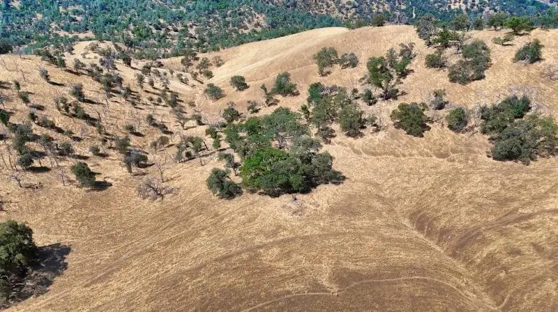 241 Mountain View Peak Road, O Neals, CA 93645 - #3