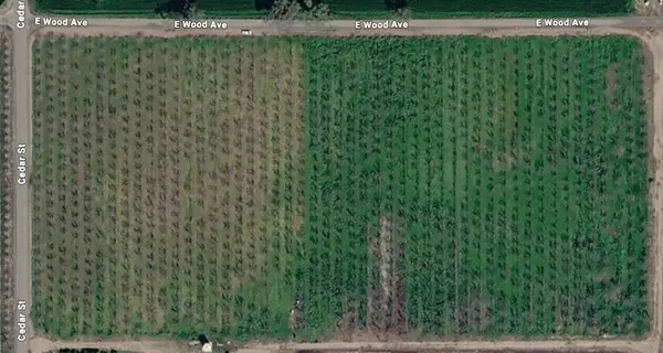 21600 Cedar Avenue, Laton, CA 93242