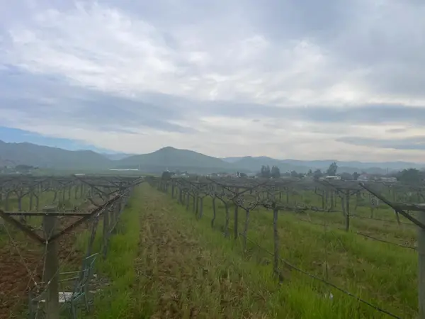 0 E Olive Avenue E, Porterville, CA 93257