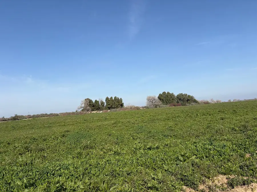 17600 Jerrold, Mendota, CA 93640 - #3