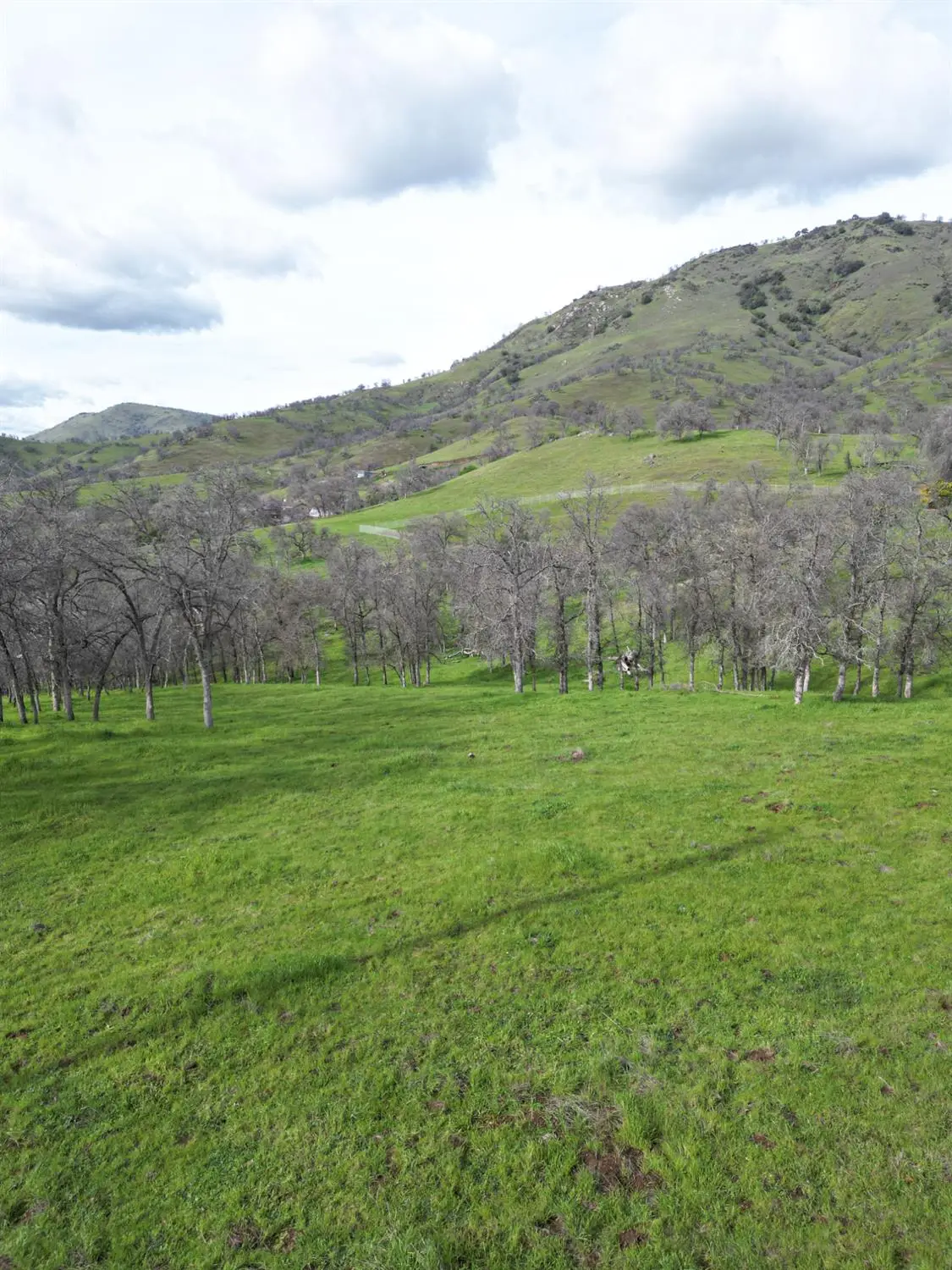 173 Rodeo Drive, Sanger, CA 93657 - #1