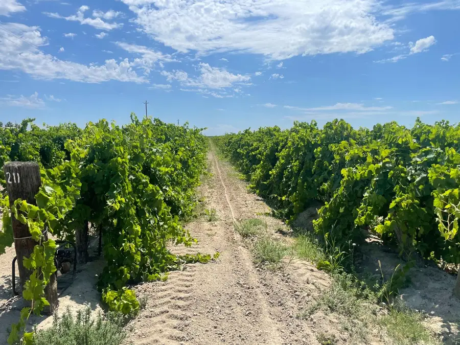 1 S Plumas Avenue, Kerman, CA 93630 - #3