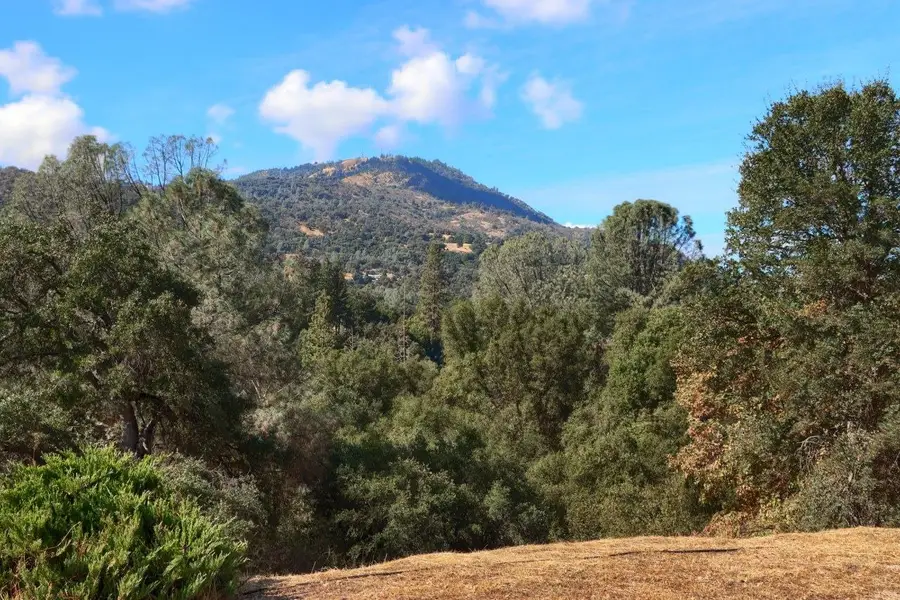 38788 Goldenrod Lane, Oakhurst, CA 93644 - #3
