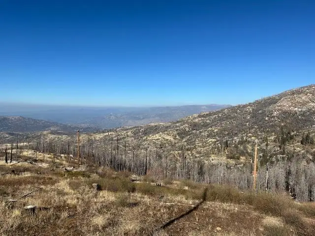 39915 Big Shuteye Lane, Shaver Lake, CA 93664 - #3