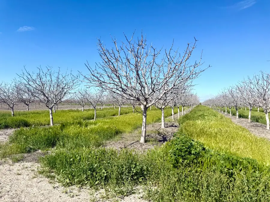 1 W Parlier, Tranquillity, CA 93668 - #2